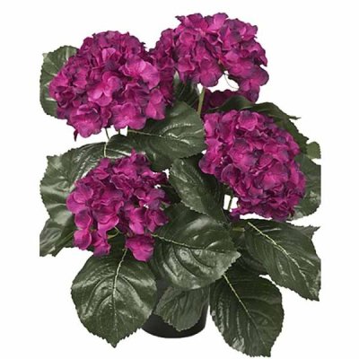 Hydrangea purple 37 cm